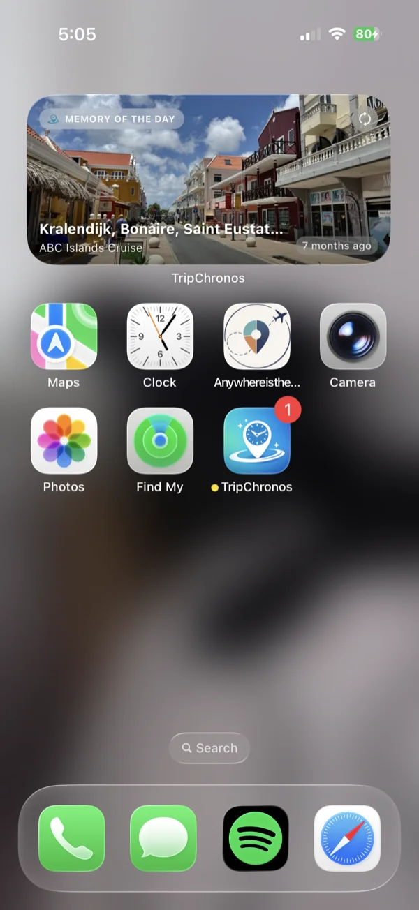 Memory of the Day medium widget shown on iPhone home screen