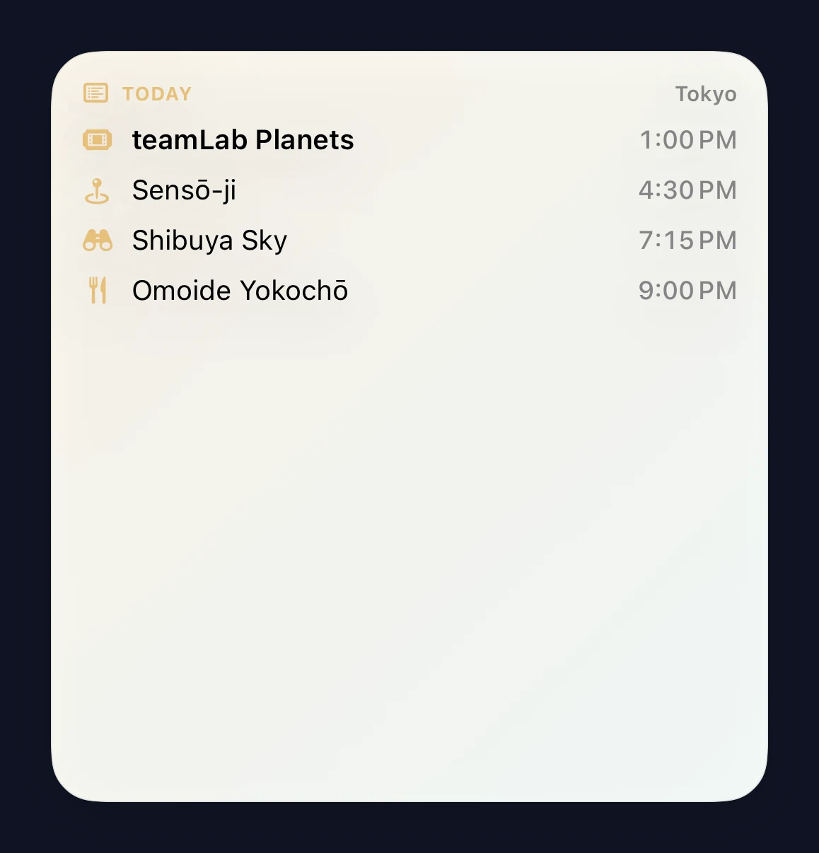 Today's Plan large widget listing the whole day