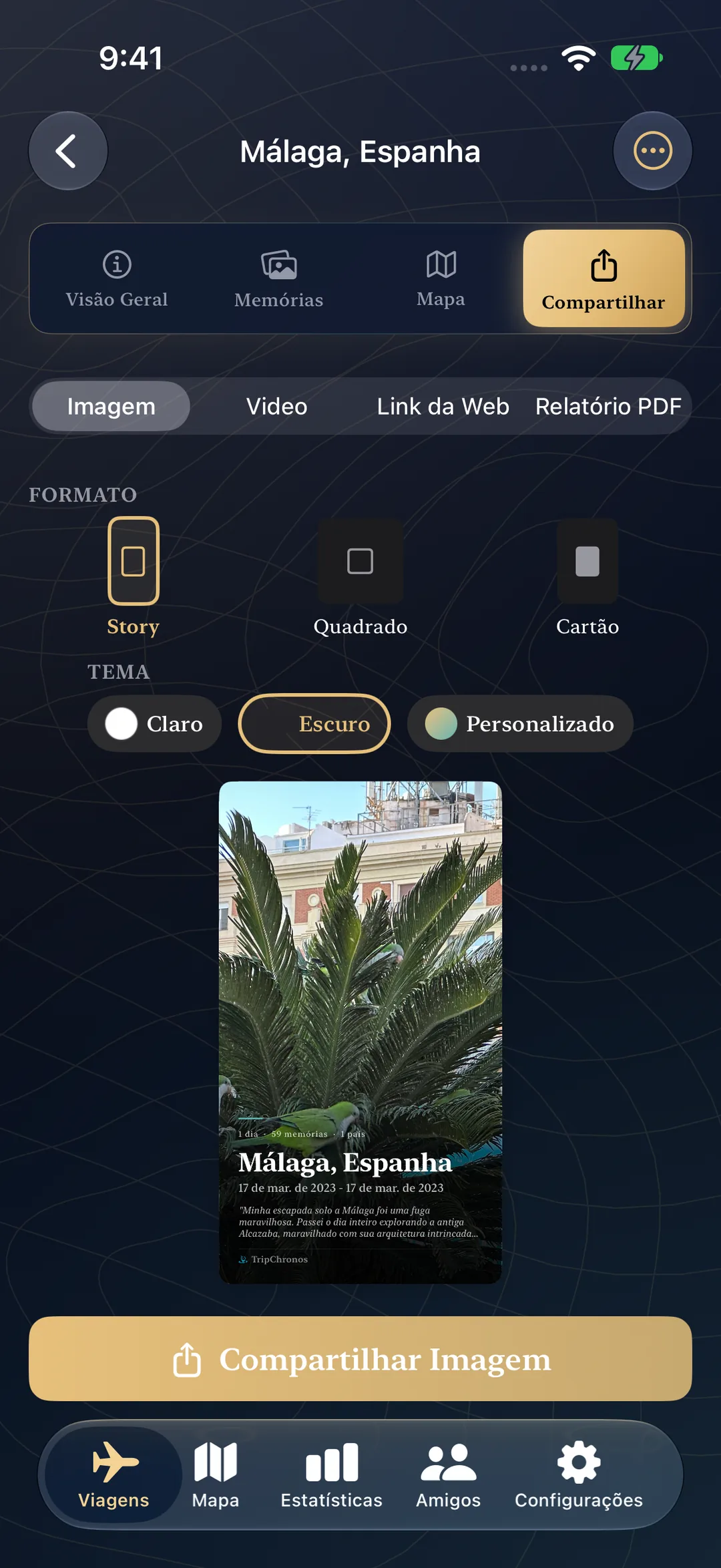 Compartilhe tela com opções de vídeo, link da web e relatório em PDF